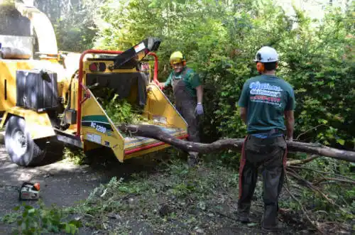 tree services Firestone